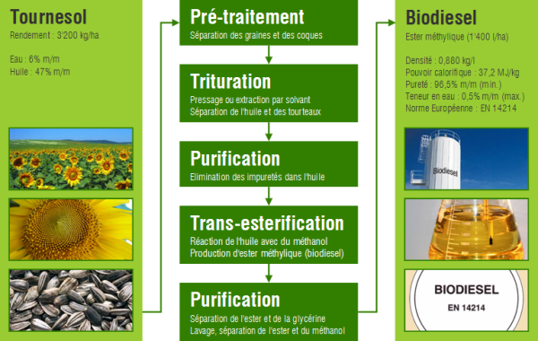 Cycle de production de Biodiesel à partir de Tournesols