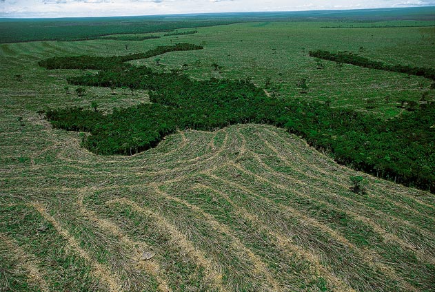 La déforestation au Brésil