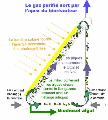 Principe de fonctionnement du bioreacteur