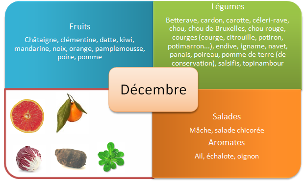 Les fruits et légumes d’automne - Décembre