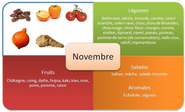 Les fruits et légumes d’automne - Novembre