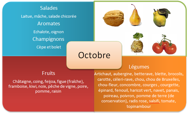 Fruits et legumes d'automne - Octobre