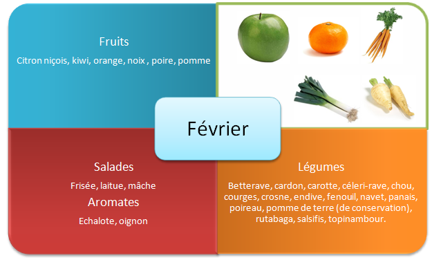 Les fruits et légumes d'hiver - Février