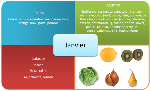 Les fruits et légumes d'hiver - Janvier