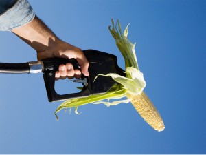 Les biocarburants