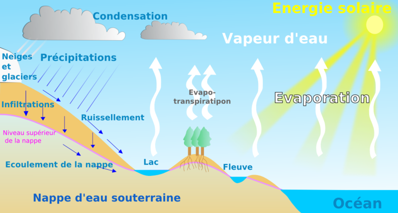 Le cycle de vie de l'eau