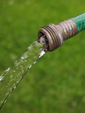 Utilisation de l'eau de pluie pour le jardin