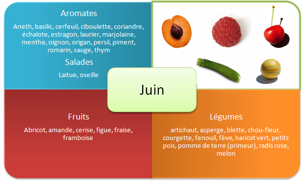 Fruits et legumes de printemps - Juin