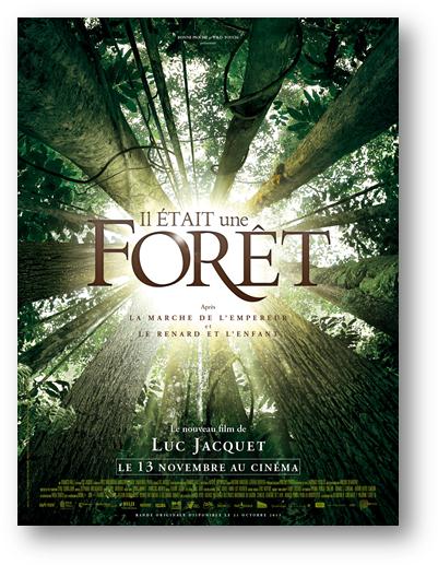 l'affiche du film Il était une forêt