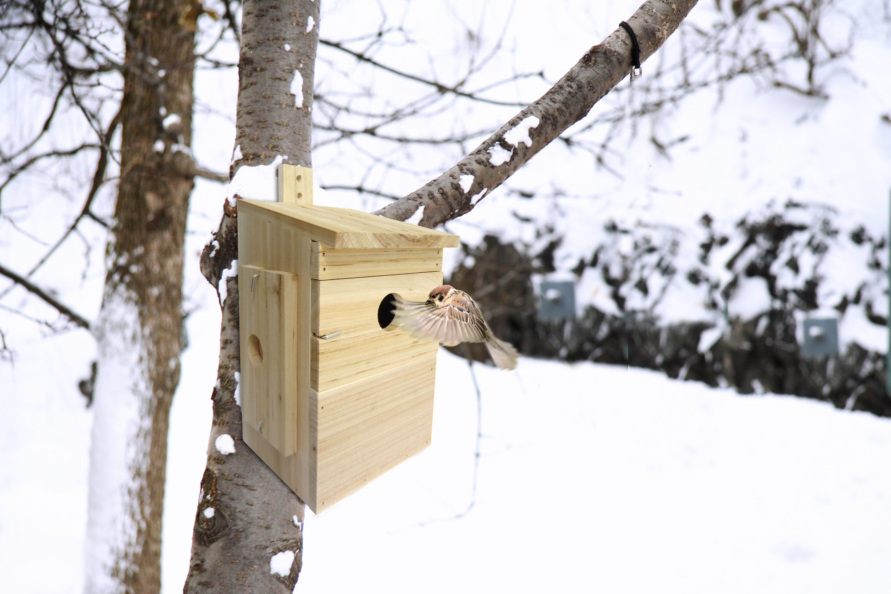 Nichoir à oiseaux multi-espèces