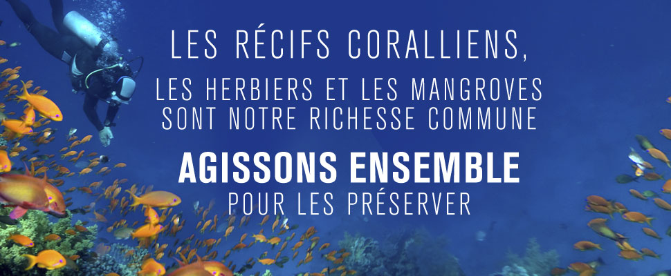 L’IFRECOR prône pour plus de développement durable afin de préserver les récifs coralliens