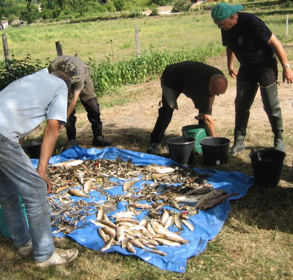 L'Union Forestière Viganaise condamnée