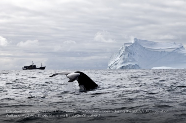 Campagne victorieuse en antarctique en 2015 2016