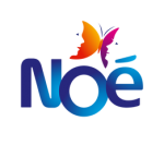 noe