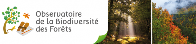 observatoire-biodiversite