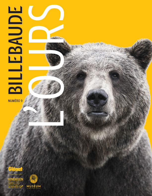 billebaude-ours-oct16