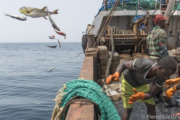 Poissons rejettes mort à la mer