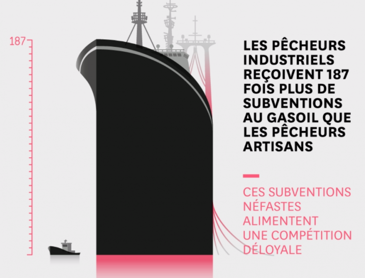 Les subventions publiques causes de surpêche