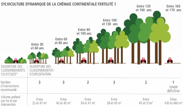 volume prélevé dans une parcelle