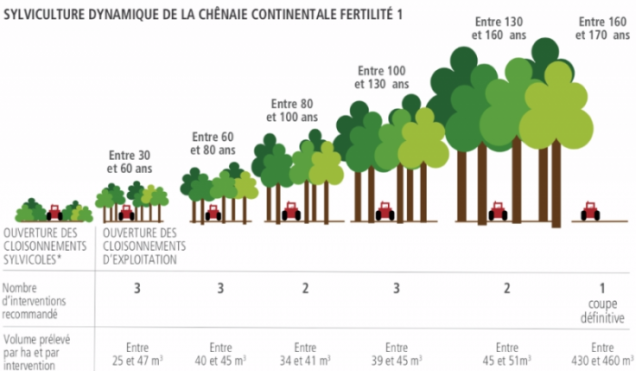 volume prélevé dans une parcelle