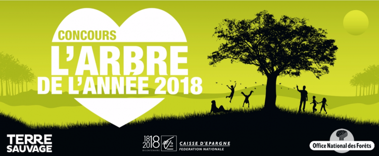 PARTICIPEZ AU CONCOURS DE L’ARBRE DE L’ANNÉE 2018