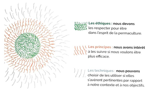 Schéma de la permaculture