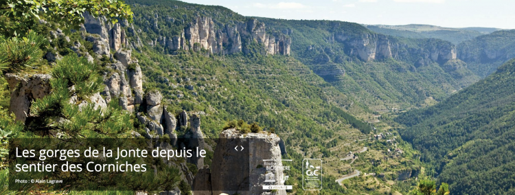 Parc des cévennes - Les gorges de la Jonte depuis le sentier des Corniches