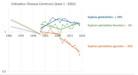 étude sur la disparition des oiseaux par MNHN