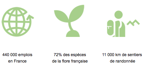 les forêt emploient beaucoup de gens en France et cela pourrait être encore plus !