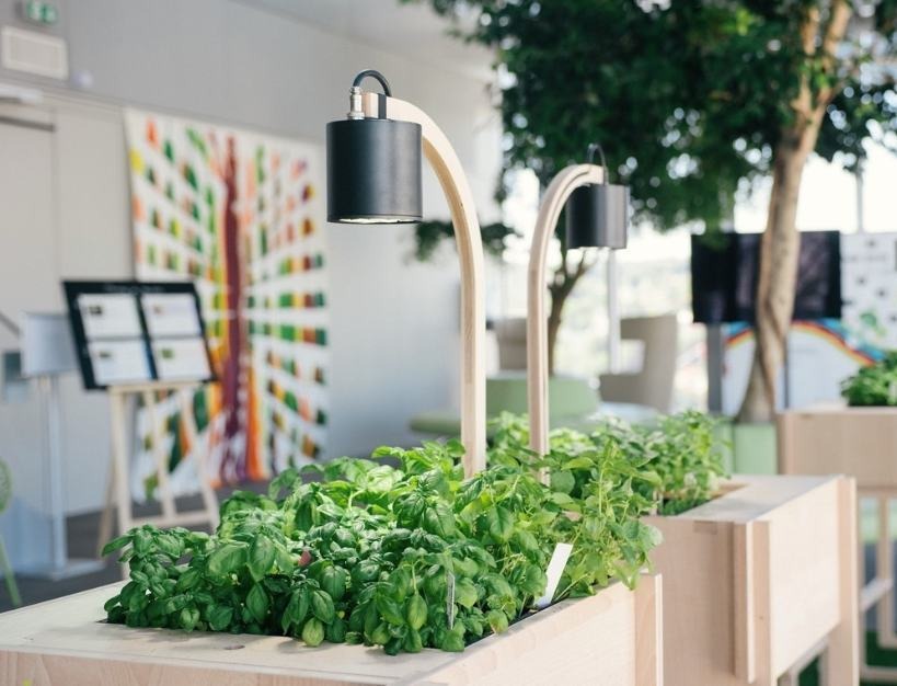 Voici un exemple de potager carré, petit, design qui s’intègre parfaitement dans un open space en entreprise