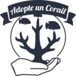 adopte un corail