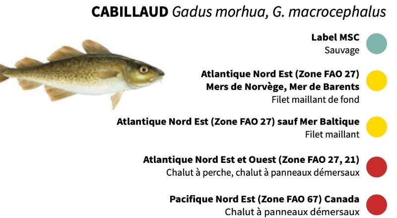 les pêcheries et zone de pêche pour le cabillaud