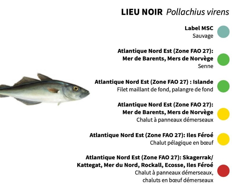 les pêcheries et zone de pêche pour le Lieu noir