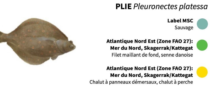 les pêcheries et zone de pêche pour la plie