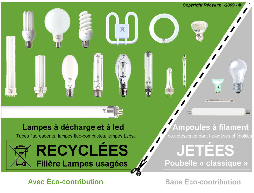 recyclage par type d'ampoule