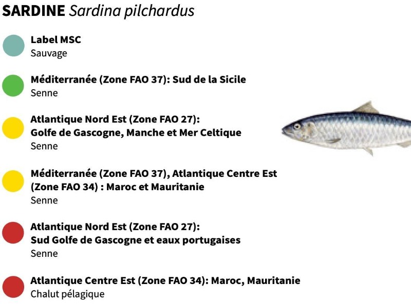 les pêcheries et zone de pêche pour la sardine