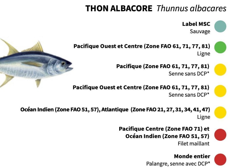 les pêcheries et zone de pêche pour lle thon albacore