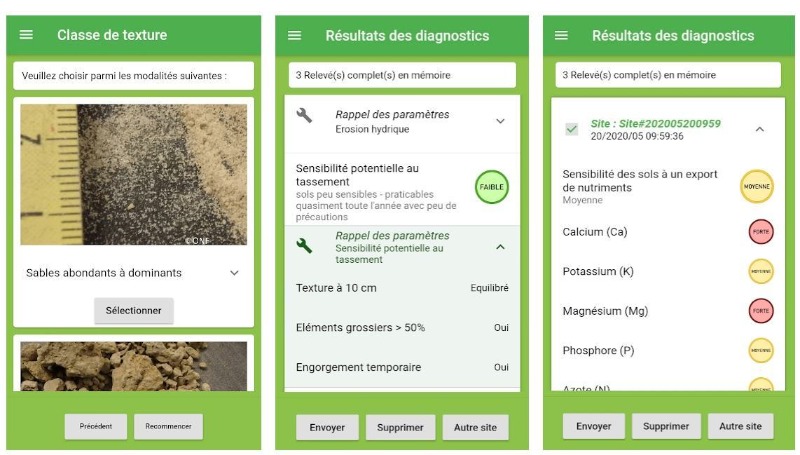 diagnostic de sensibilité de la forêt