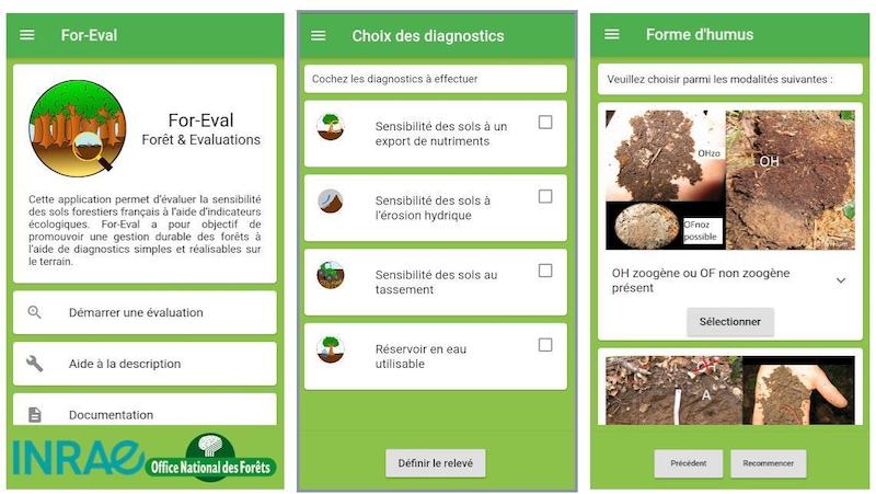 gestion durable forêts