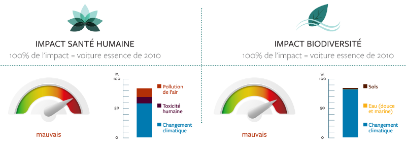 voitures Thermique diesel, les impacts santé et biodiversité