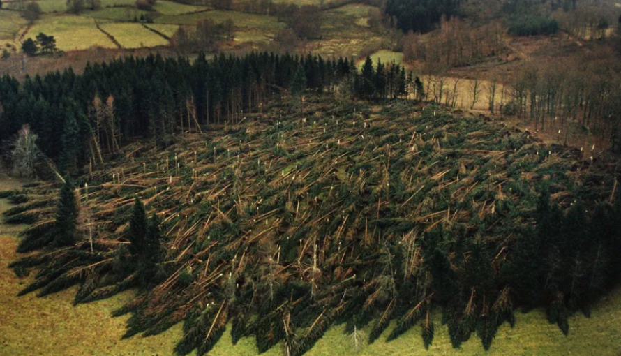 Dégats causés par la tempête de 1999 sur une parcelle forestière en Creuse © Pascal Chareyron - MaxPPP