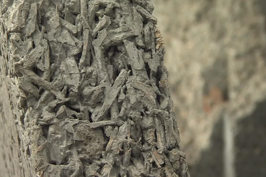 Béton de bois, le premier béton au bilan carbone négatif