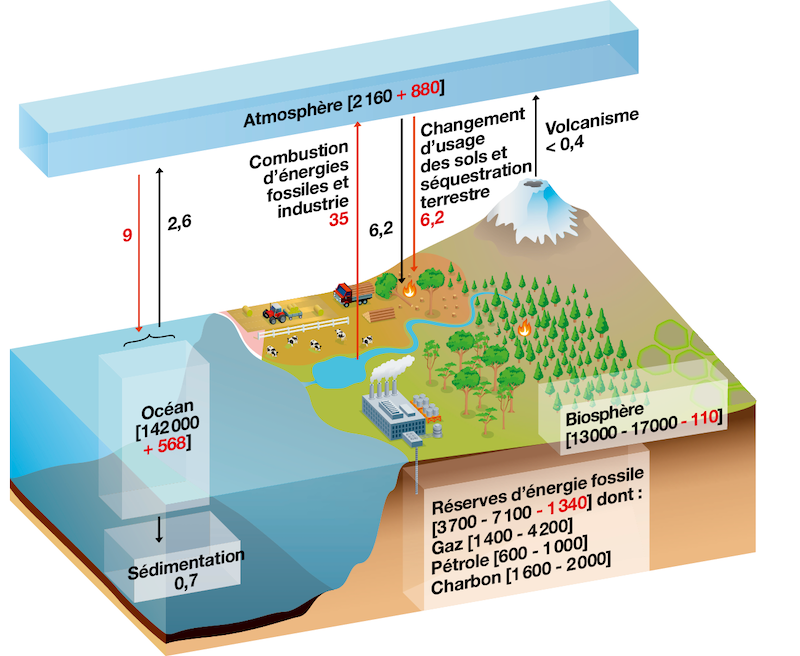 RÉSERVOIRS ET FLUX DE GES  : EXEMPLE DU CO2 AU COURS DES  ANNÉES 