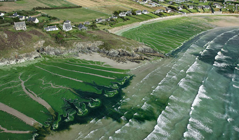 Nouveau plan (inutile) de lutte contre la pollution de l’eau