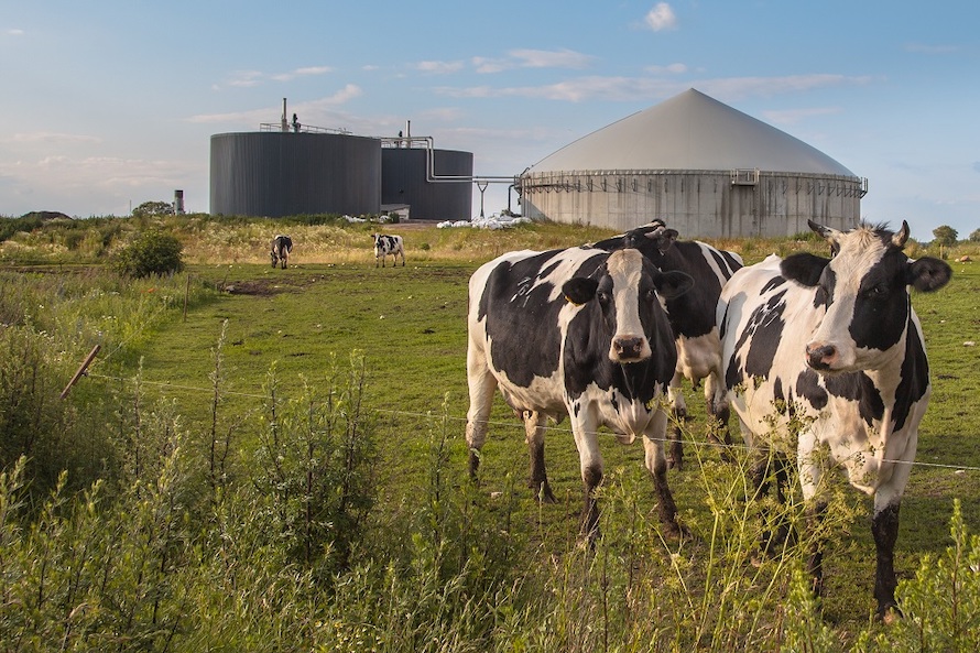 Transition énergétique : 3 incontournables sur le biogaz